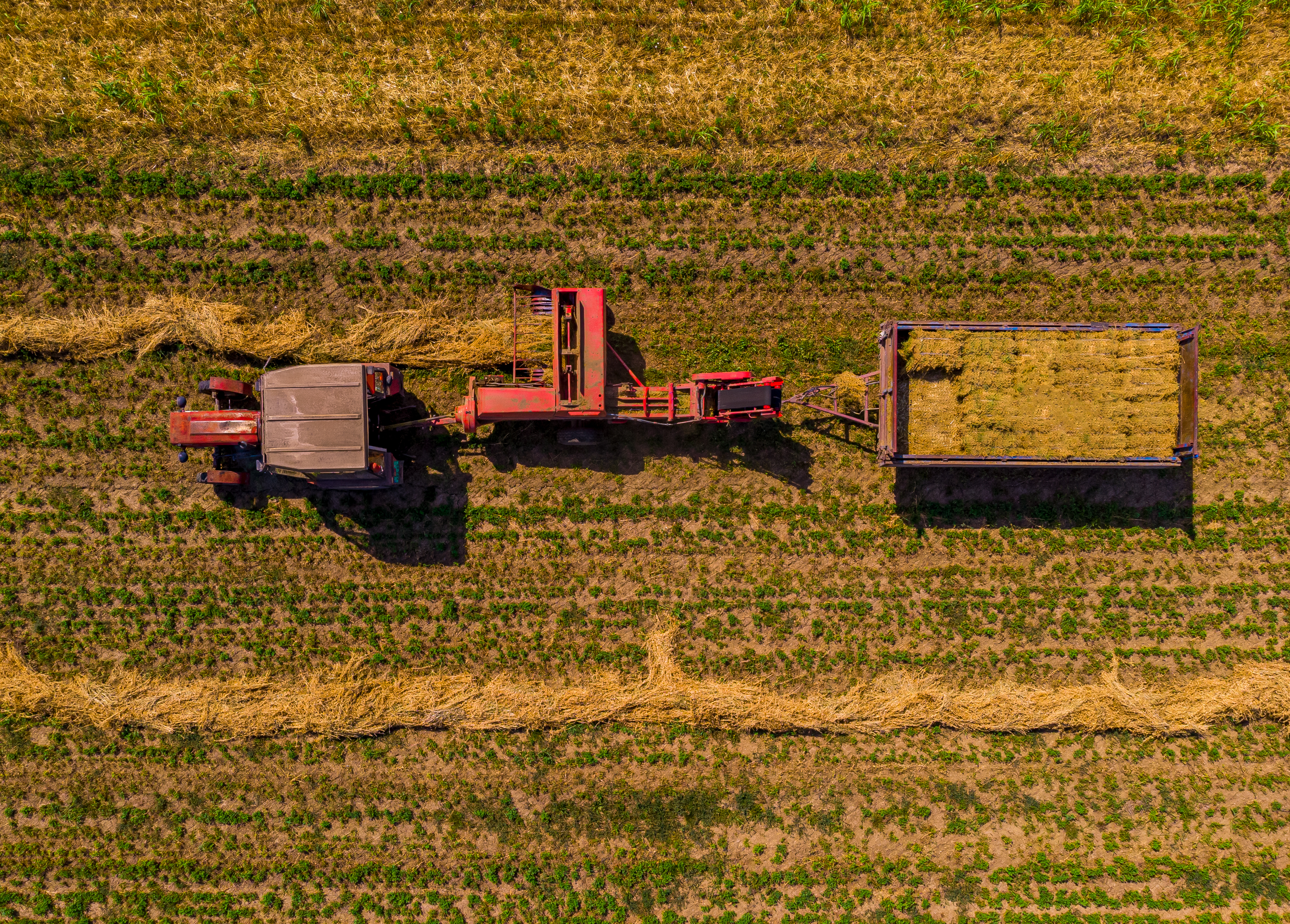 Agrochemical Solutions