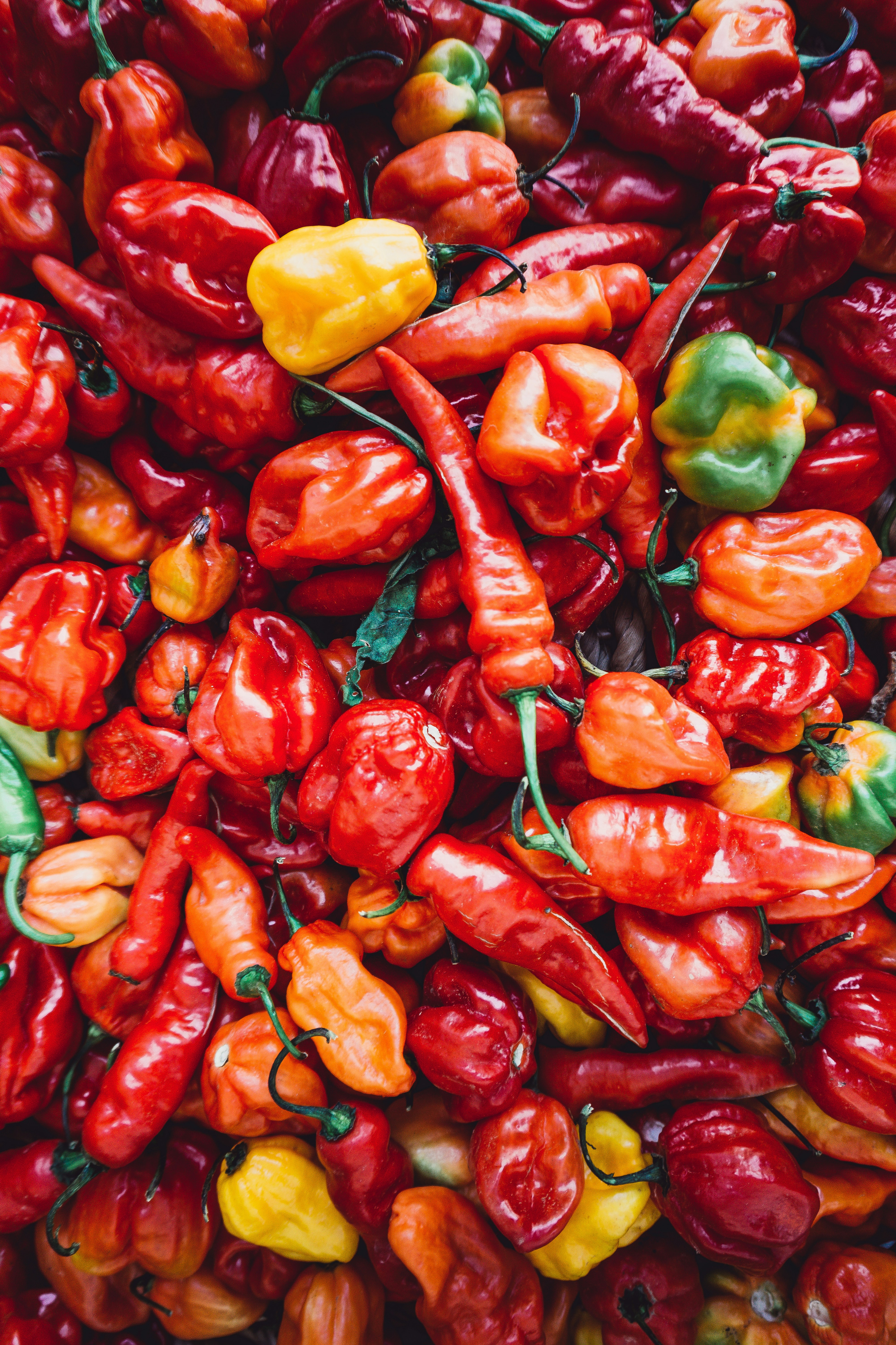 Paprika Oleoresin